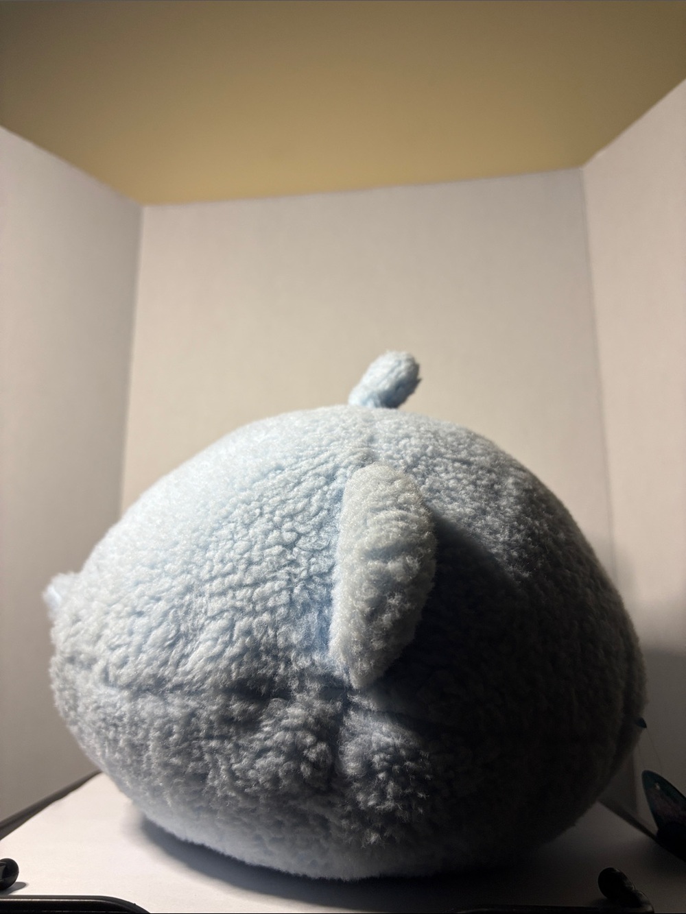 Davie Squishmallow Light Blue Shark Plush with Cream Belly - Picture 9 of 9